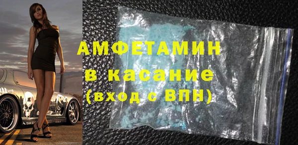 шишки Аркадак
