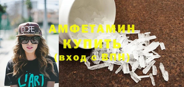 шишки Аркадак