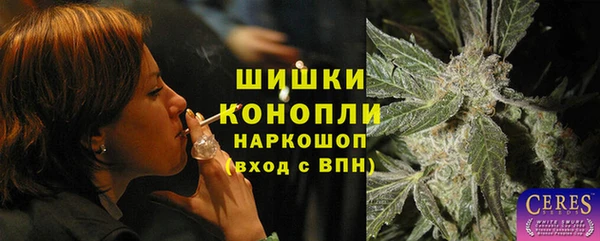шишки Аркадак