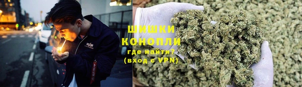 ПСИЛОЦИБИНОВЫЕ ГРИБЫ Переславль-Залесский