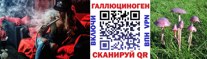 купить   Павловск  Галлюциногенные грибы мухоморы 